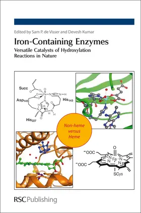 de Visser / Kumar | Iron-Containing Enzymes | Buch | 978-1-84973-181-2 | www.sack.de