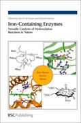 de Visser / Kumar |  Iron-Containing Enzymes | Buch |  Sack Fachmedien