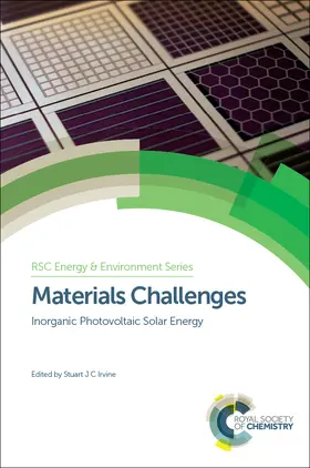 Irvine | Materials Challenges | Buch | 978-1-84973-187-4 | sack.de