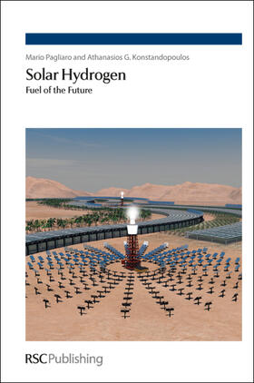 Pagliaro / Konstandopoulos | Solar Hydrogen | Buch | 978-1-84973-195-9 | sack.de