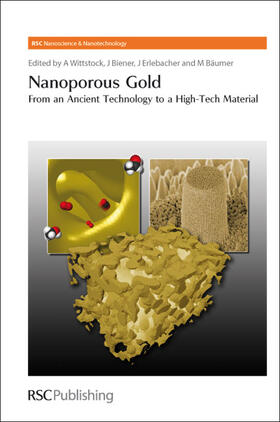 Wittstock / Biener / Erlebacher |  Nanoporous Gold | Buch |  Sack Fachmedien