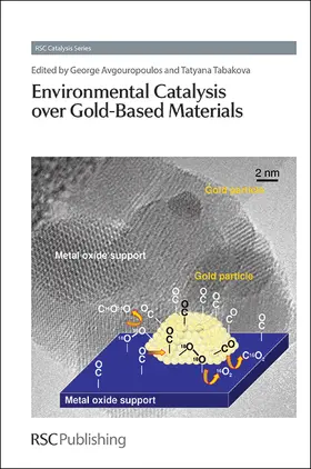 Avgouropoulos / Tabakova | Environmental Catalysis Over Gold-Based Materials | Buch | 978-1-84973-571-1 | www.sack.de