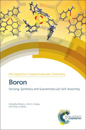 Li / Fossey / James | Boron | Buch | 978-1-84973-674-9 | sack.de