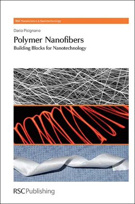 Pisignano | Polymer Nanofibers | E-Book | www.sack.de