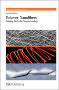 Pisignano |  Polymer Nanofibers | eBook | Sack Fachmedien