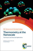Carlos / Palacio |  Thermometry at the Nanoscale | Buch |  Sack Fachmedien