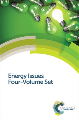 Harrison / Hester | Energy Issues | Buch | 978-1-84973-930-6 | sack.de