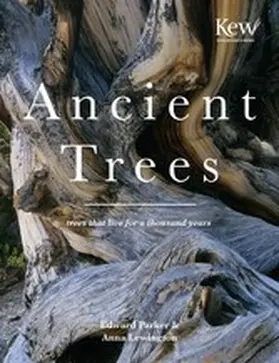 Lewington |  Ancient Trees | eBook | Sack Fachmedien