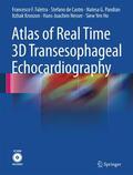 Faletra / de Castro / Pandian |  Atlas of Real Time 3D Transesophageal Echocardiography | Buch |  Sack Fachmedien