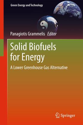 Grammelis |  Solid Biofuels for Energy | Buch |  Sack Fachmedien