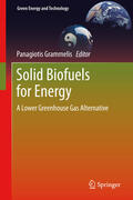 Grammelis |  Solid Biofuels for Energy | eBook | Sack Fachmedien