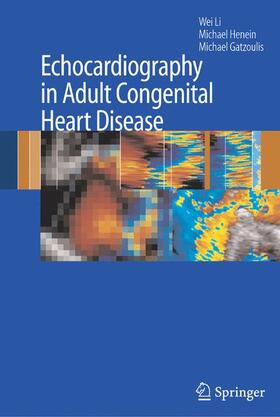 Li / Gatzoulis / Henein | Echocardiography in Adult Congenital Heart Disease | Buch | 978-1-84996-652-8 | sack.de