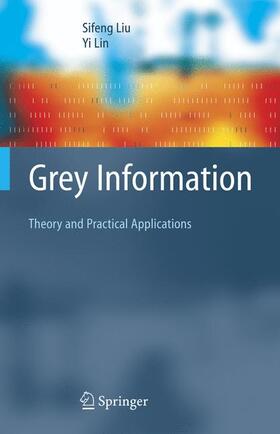 Lin / Liu | Grey Information | Buch | 978-1-84996-993-2 | sack.de