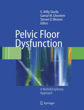 Davila / Wexner / Ghoniem | Pelvic Floor Dysfunction | Buch | 978-1-85233-730-8 | sack.de