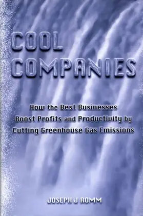 Romm |  Cool Companies | Buch |  Sack Fachmedien