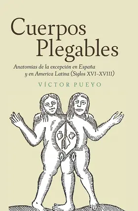 Pueyo |  Cuerpos plegables | Buch |  Sack Fachmedien