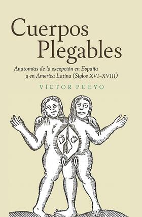 Pueyo | Cuerpos plegables | Buch | 978-1-85566-290-2 | sack.de