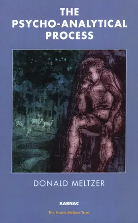 Meltzer |  The Psycho-Analytical Process | Buch |  Sack Fachmedien