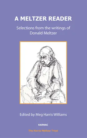 Meltzer / Williams |  A Meltzer Reader | Buch |  Sack Fachmedien