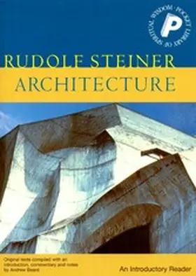 Steiner |  Architecture | eBook | Sack Fachmedien