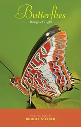 Steiner |  Butterflies | eBook | Sack Fachmedien
