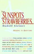 Steiner |  From Sunspots to Strawberries | eBook | Sack Fachmedien