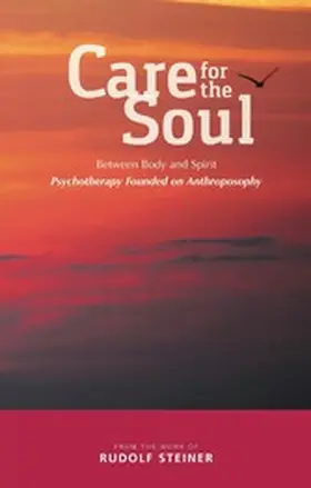 Steiner / Hass |  Care for the Soul | eBook | Sack Fachmedien