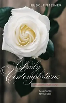 Steiner / Lin |  Daily Contemplations | eBook | Sack Fachmedien