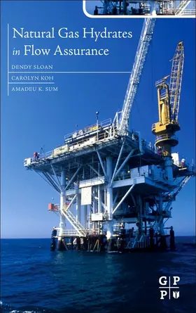 Koh / Sum | Natural Gas Hydrates in Flow Assurance | E-Book | sack.de