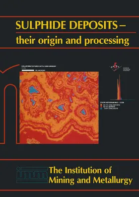 Gray / Bowyer / Castle |  Sulphide Deposits--Their Origin and Processing | Buch |  Sack Fachmedien