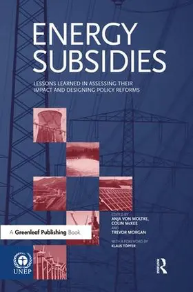 Moltke / McKee / Morgan |  Energy Subsidies | Buch |  Sack Fachmedien