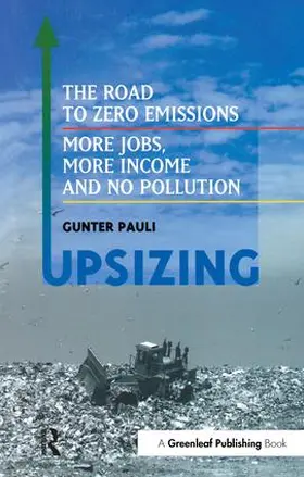Pauli | UpSizing | Buch | 978-1-874719-18-2 | www.sack.de