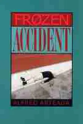 Arteaga |  Frozen Accident | Buch |  Sack Fachmedien