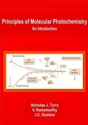 Turro / Ramamurthy / Scaiano |  Principles of Molecular Photochemistry | Buch |  Sack Fachmedien