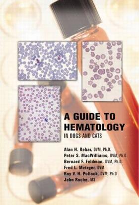 Rebar / Feldman / MacWilliams | A Guide to Hematology in Dogs and Cats | Buch | 978-1-893441-48-4 | sack.de