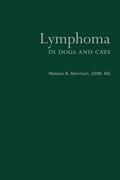 Morrison |  Lymphoma in Dogs and Cats | Buch |  Sack Fachmedien