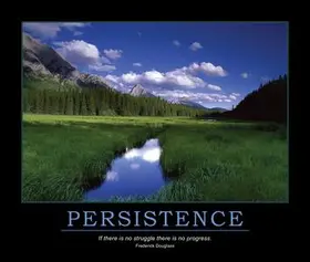 Enna |  Persistence Poster | Buch |  Sack Fachmedien