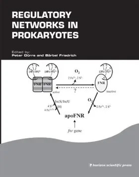 Durre / Friedrich |  Regulatory Networks in Prokaryotes | Buch |  Sack Fachmedien