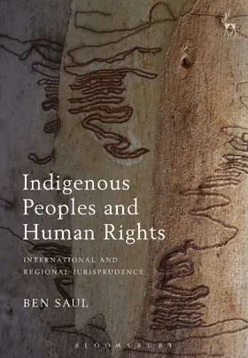 Saul |  Indigenous Peoples and Human Rights | Buch |  Sack Fachmedien