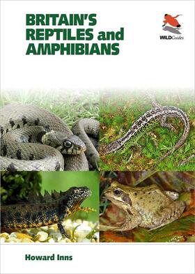 Packham / Inns | Britain`s Reptiles and Amphibians | Buch | 978-1-903657-25-6 | sack.de