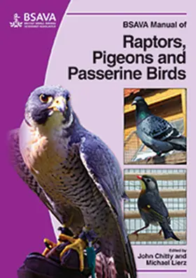 Chitty / Lierz |  BSAVA Manual of Raptors, Pigeons and Passerine Birds | Buch |  Sack Fachmedien