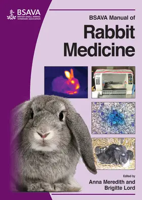 Meredith / Lord |  BSAVA Manual of Rabbit Medicine | Buch |  Sack Fachmedien
