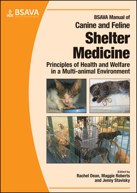 Dean / Roberts / Stavisky | BSAVA Manual of Canine and Feline Shelter Medicine | Buch | 978-1-905319-84-8 | sack.de