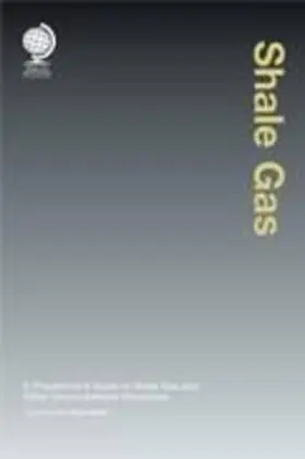 Bakshi |  Shale Gas | Buch |  Sack Fachmedien
