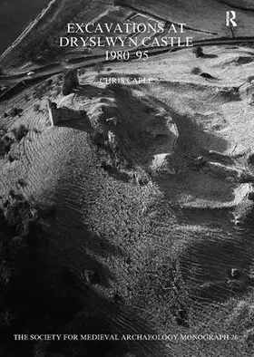 Caple |  Excavations at Dryslwyn Castle 1980-1995 | Buch |  Sack Fachmedien