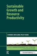 Bleischwitz / Welfens / Zhang |  Sustainable Growth and Resource Productivity | Buch |  Sack Fachmedien
