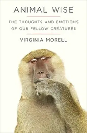 Morell |  Animal Wise | eBook | Sack Fachmedien