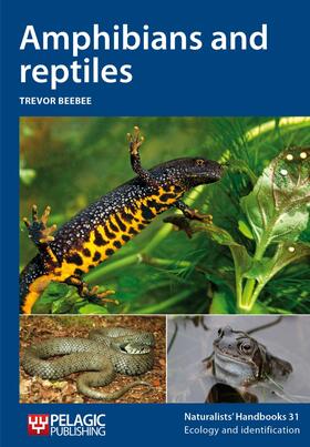 Beebee | Amphibians and Reptiles: Vol. 31 | Buch | 978-1-907807-45-9 | sack.de