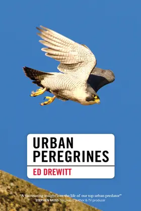 Drewitt |  Urban Peregrines | Buch |  Sack Fachmedien