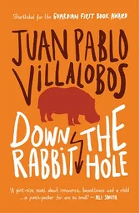Villalobos |  Down the Rabbit Hole | eBook | Sack Fachmedien